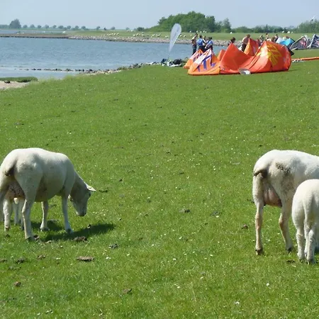 Sonnenoase Apartment Fehmarn
