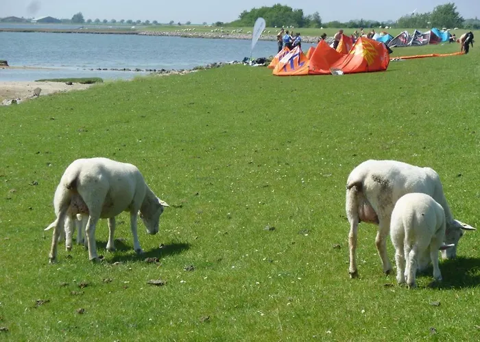 Sonnenoase Appartement Fehmarn